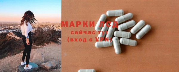 дживик Магас