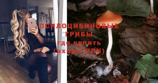 дживик Магадан