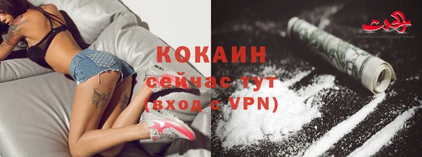 дживик Магас