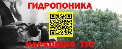 jwh Камень-на-Оби