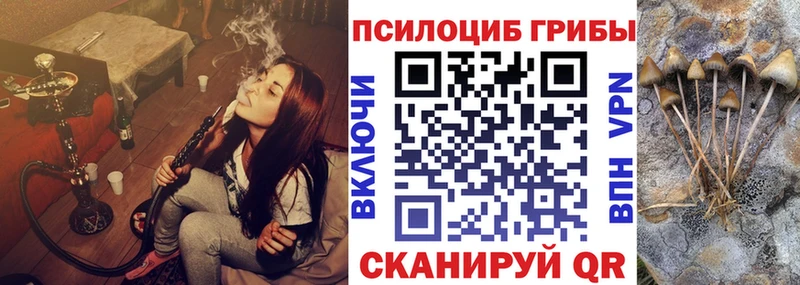 это наркотические препараты  OMG как войти  Архангельск  Псилоцибиновые грибы прущие грибы 