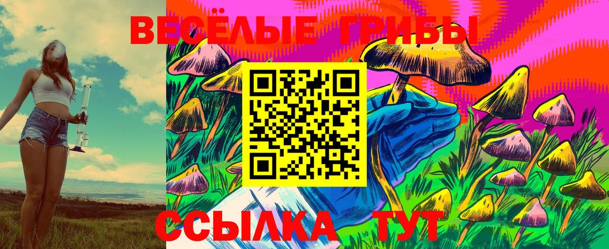 Псилоцибиновые грибы ЛСД Архангельск